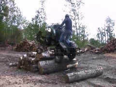 grizzly in HD conquering some timber