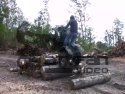 grizzly in HD conquerin