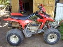 trx250ex