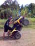wheele