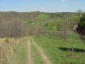 hill top trail