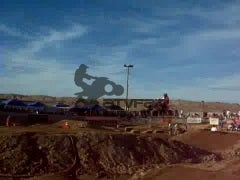 Curtis jumping