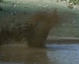 Splash 2