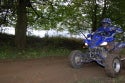 Raptor_at_forest