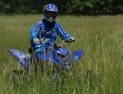 grass