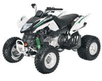 Arctic Cat 